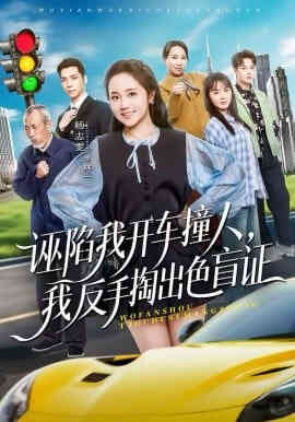 诬陷我开车撞人,我反手掏出色盲证