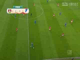 德甲联赛 勒沃库森VS霍芬海姆 20250203