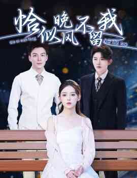 恰似晚风不留我 弃他如风