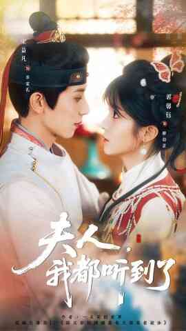 夫人,我都听到了 夫人每天都想被休