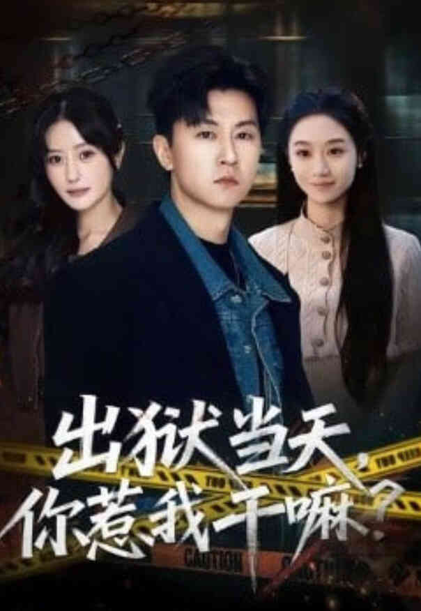 出狱当天,你惹我干嘛?(出狱当天你惹我干嘛)